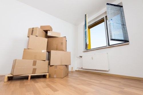 Visual for inclusive Southwark removals website access