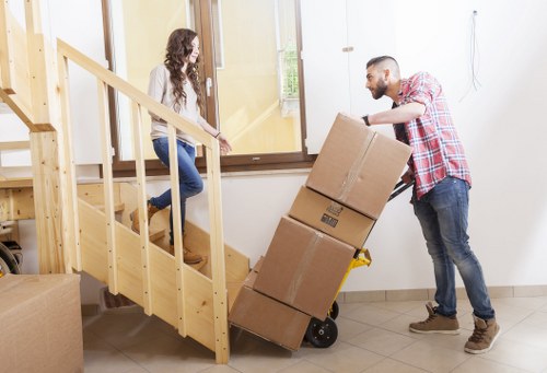 Second-stage review of a removals complaint outcome